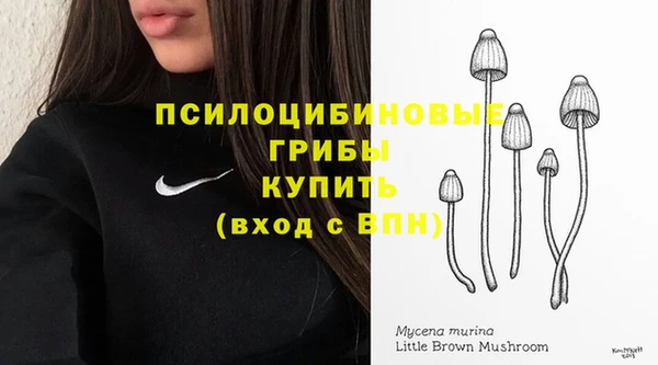 а пвп мука Алзамай