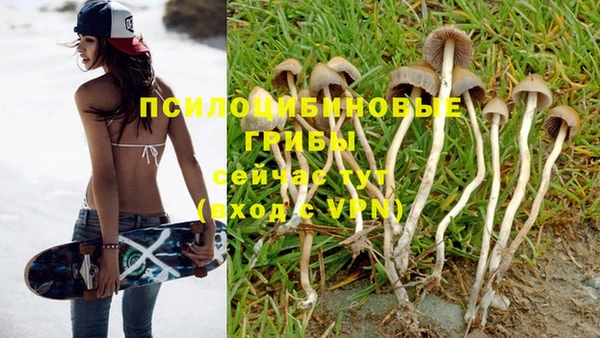 а пвп мука Алзамай