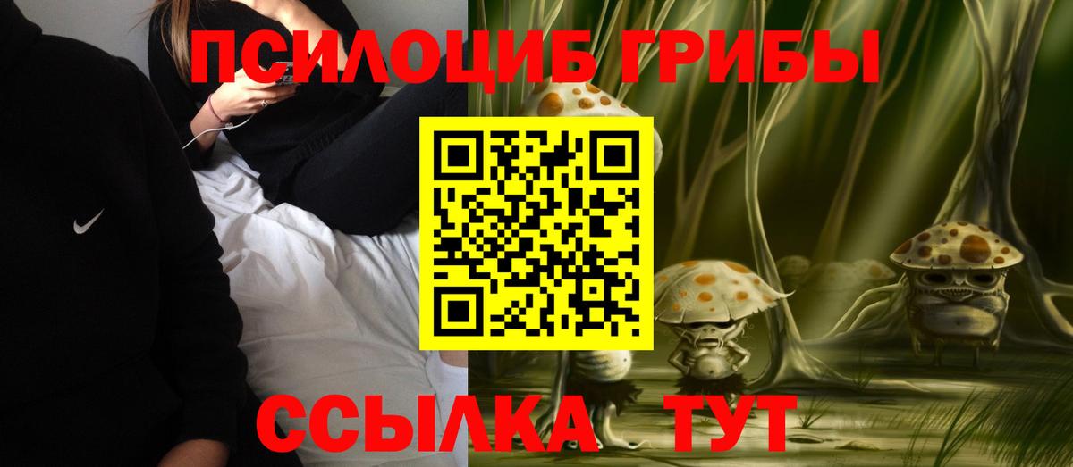 Псилоцибиновые грибы мицелий  Вход с VPN  Ачинск 